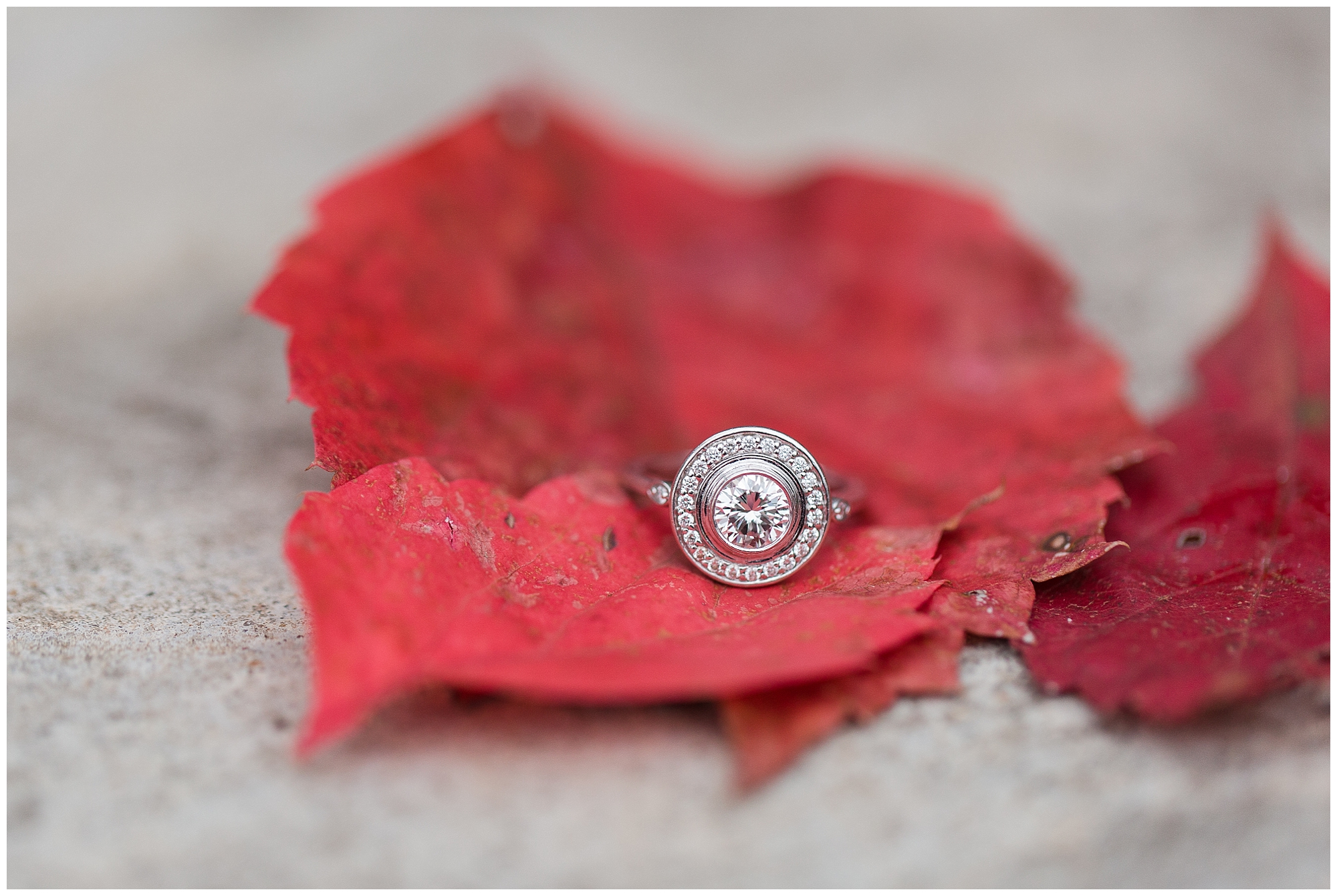 engagement ring on fall leaves